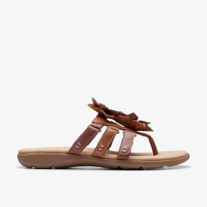 Clarks Elizabelle Mae Tan Combination Sandalen Dames Bruin | 0215473-JX