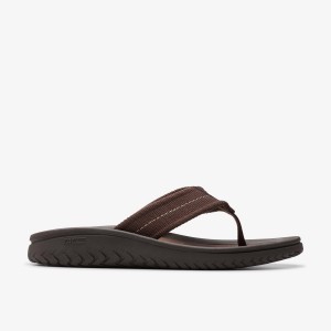 Clarks WESLEY BELT Dark Brown Sandalen Heren Donkerbruin | 9761032-KA